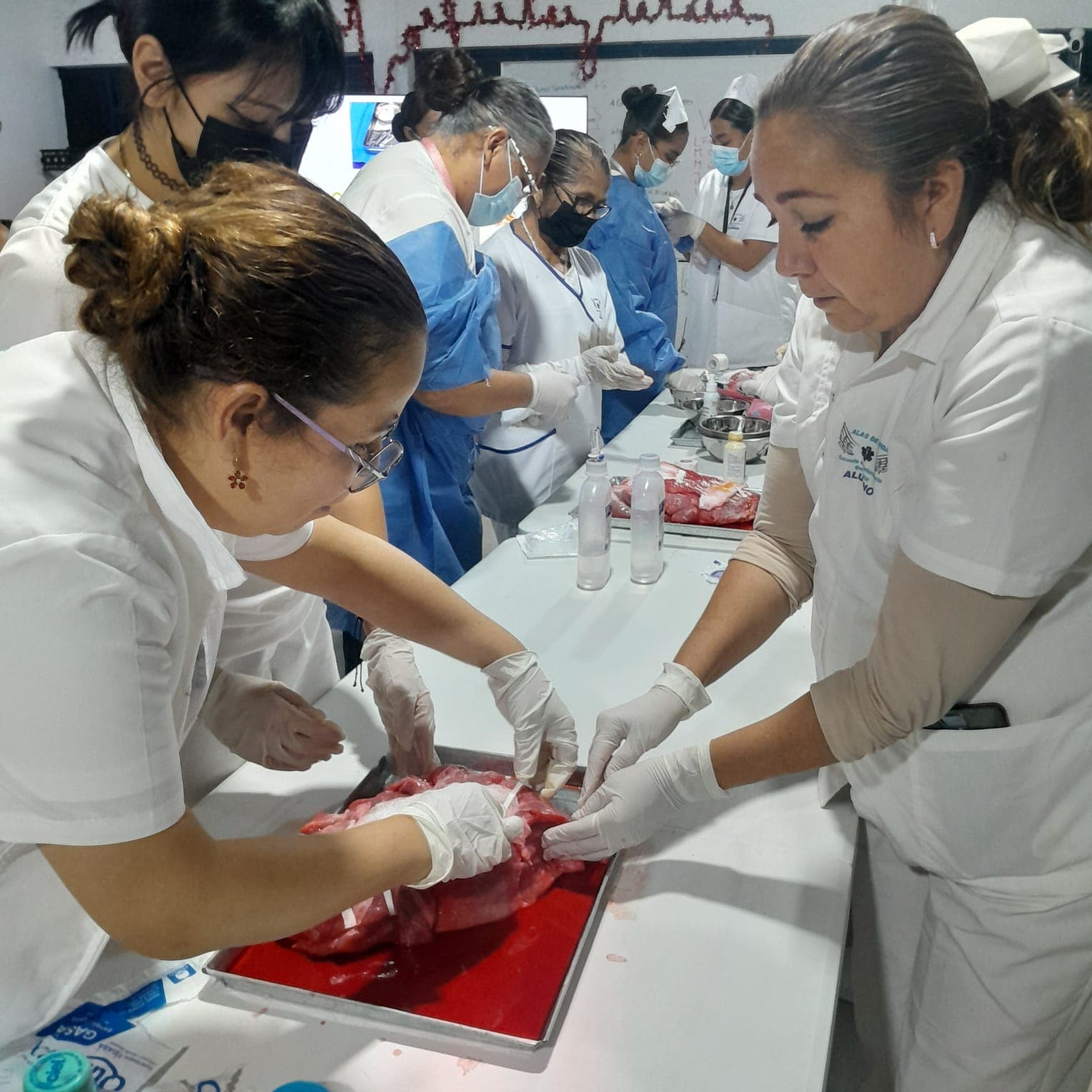 Práctica en laboratorio
