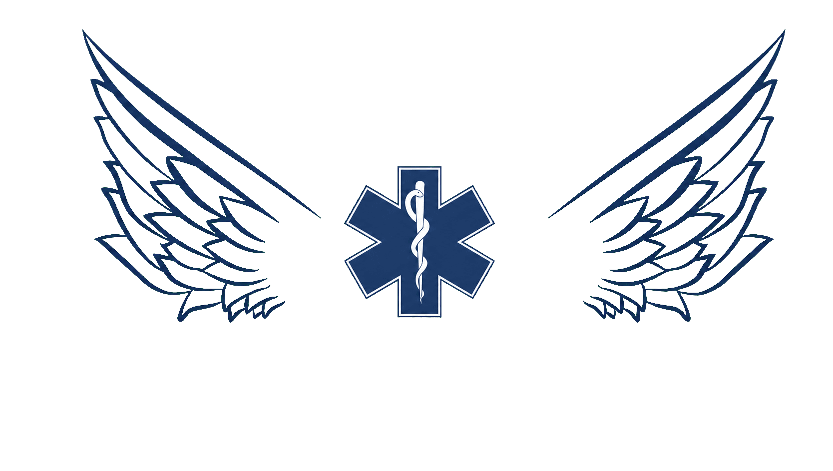 Logo oficial de la Escuela de Enfermería Alas de Vida
